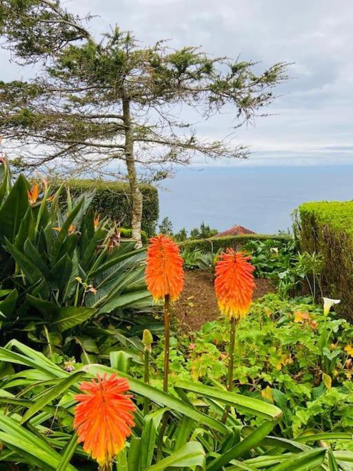 Azor International Apartment II Ponta Delgada Eksteriør billede