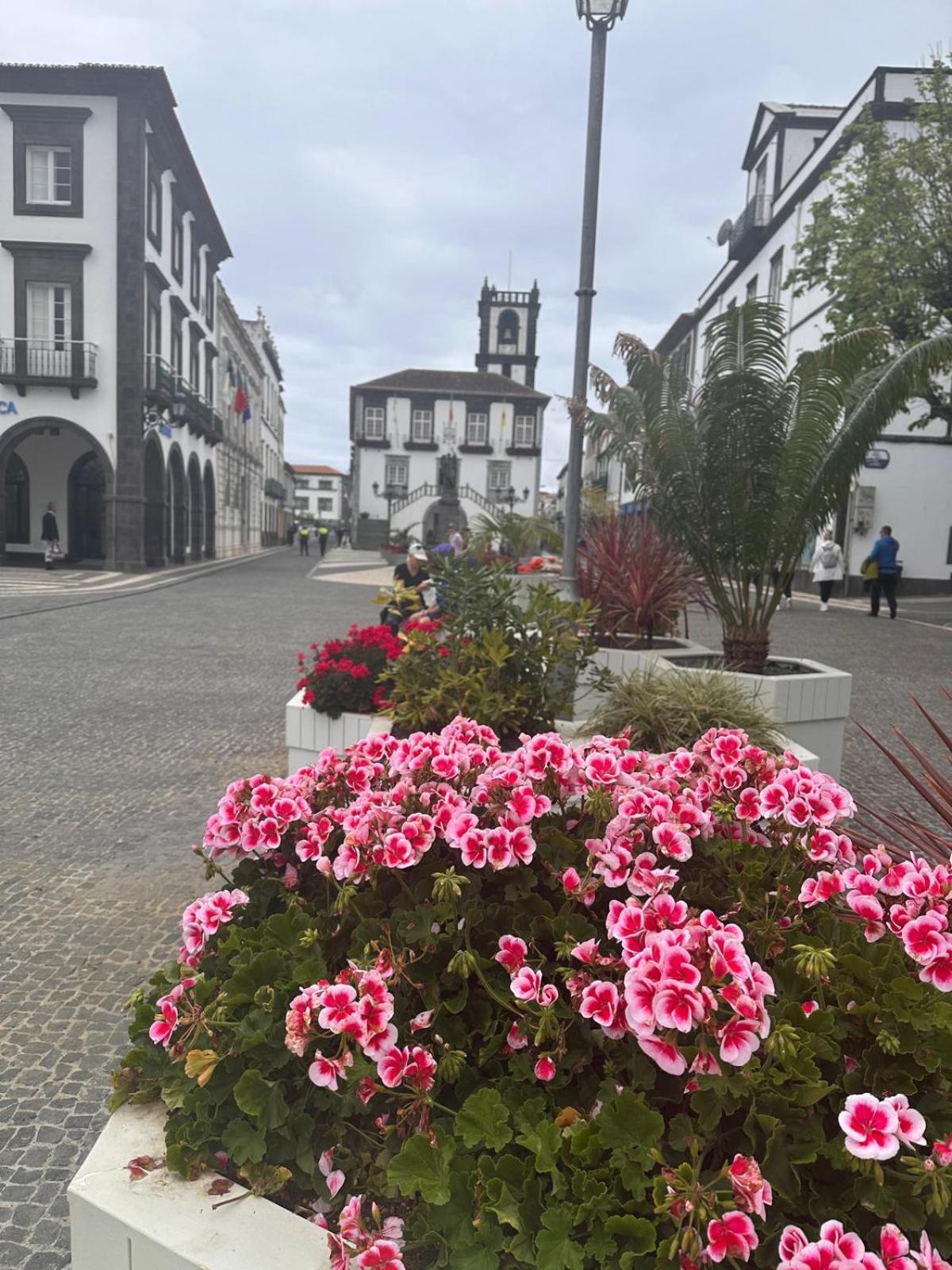 Azor International Apartment II Ponta Delgada Eksteriør billede